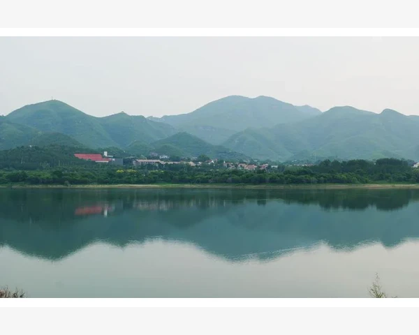 老人吃什么止咳化痰水果